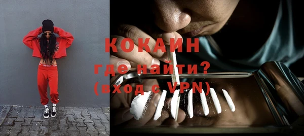 кокс Алексин