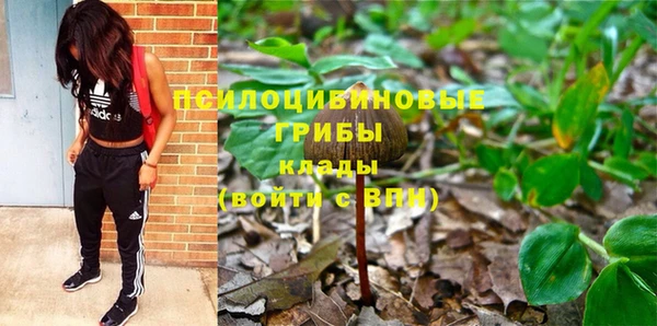 кокс Алексин