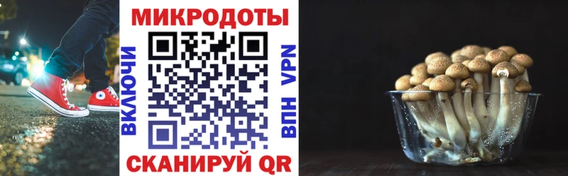 Псилоцибиновые грибы GOLDEN TEACHER наркотики Бабаево